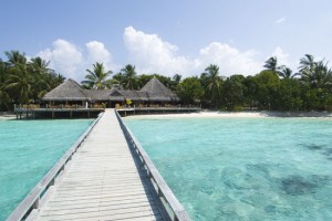 maldive