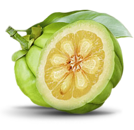 dieta garcinia