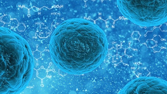 Come nasce un cancro: il cambiamento di una cellula