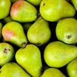 alimentazione