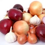 Cipolla