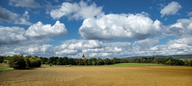 Si occupa dei poderi: che compiti svolgeva il mezzadro? Esiste ancora questa figura?