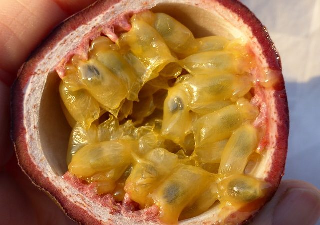 Frutta con semi o noccioli: qual’è? Quando si mangia?