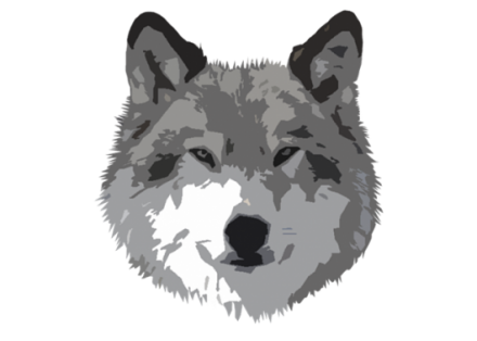 lupo