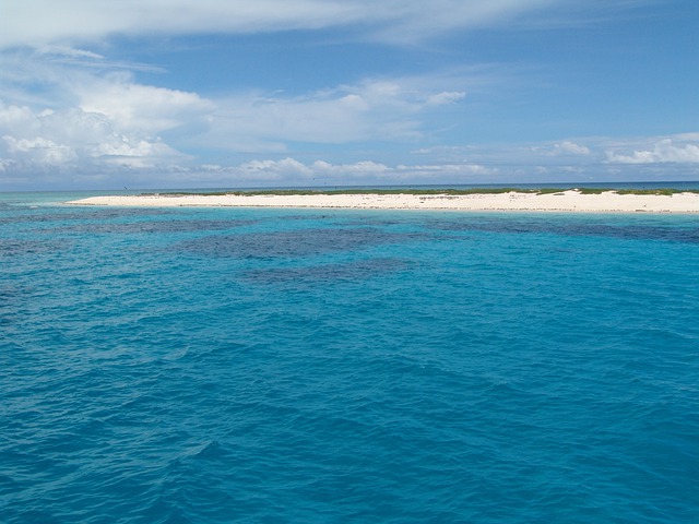 I migliori posti per fare immersioni in Australia